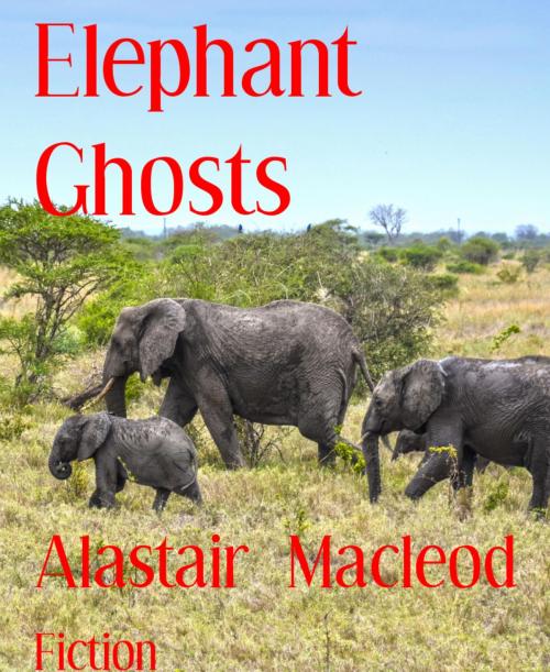 Cover of the book Elephant Ghosts by Alastair Macleod, BookRix