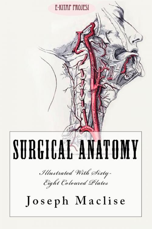 Cover of the book Surgical Anatomy by Joseph Maclise, eKitap Projesi
