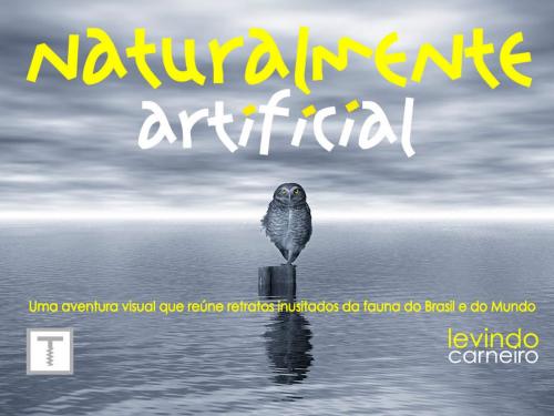 Cover of the book Naturalmente Artificial by Levindo Carneiro, Truque