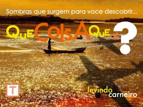 Cover of the book Que coisa que é? by Levindo Carneiro, Truque