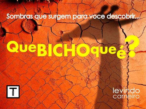 Cover of the book Que bicho que é? by Levindo Carneiro, TRUQUE