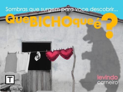Cover of the book Que bicho que é? Vol.2 by Levindo Carneiro, Truque
