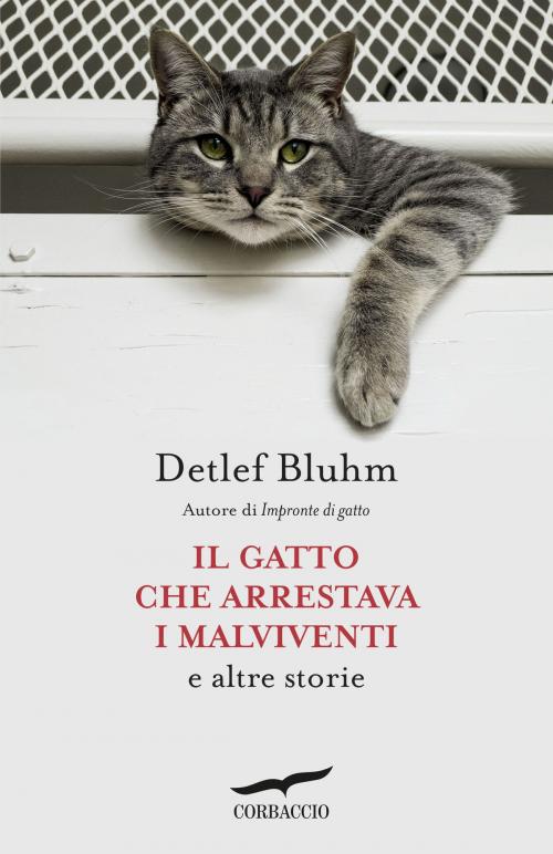 Cover of the book Il gatto che arrestava i malviventi by Detlef Bluhm, Corbaccio