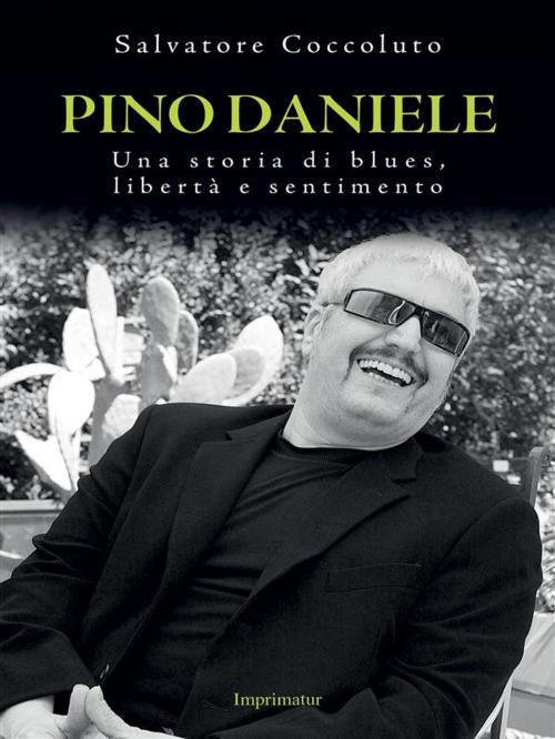 Cover of the book Pino Daniele by Salvatore Coccoluto, Imprimatur