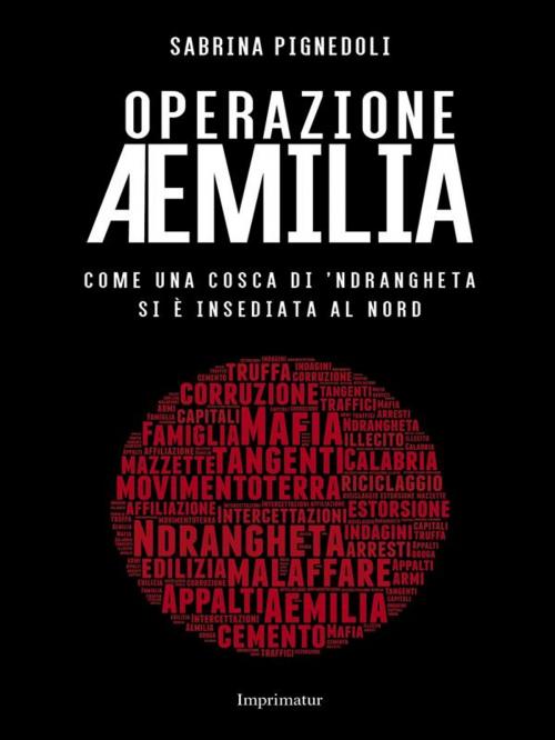 Cover of the book Operazione Aemilia by Sabrina Pignedoli, Imprimatur