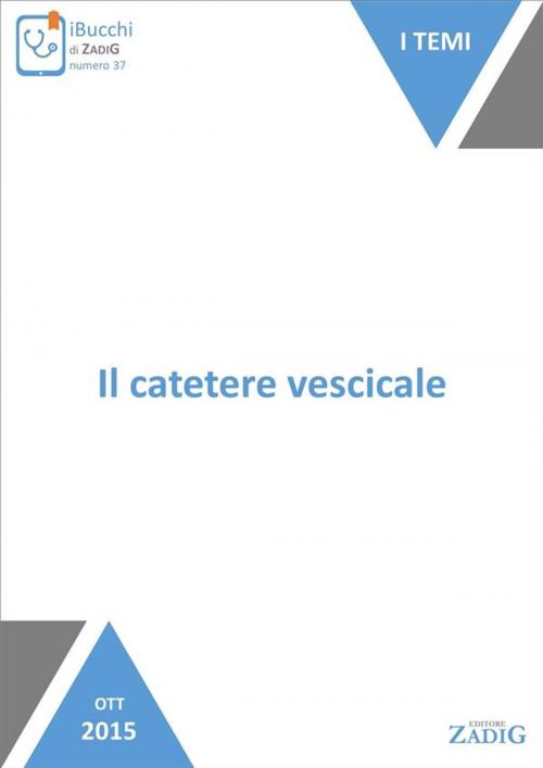 Cover of the book Il catetere vescicale by Luciano Urbani, Zadig