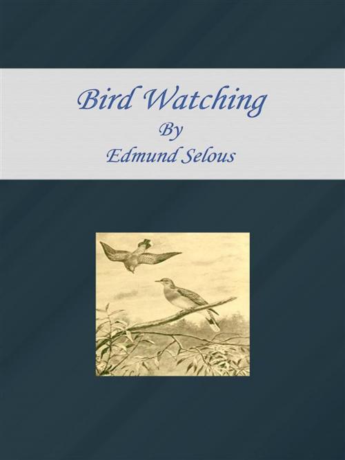 Cover of the book Bird Watching by Edmund Selous, Edmund Selous