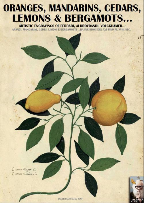 Cover of the book Oranges, mandarins, cedars, lemons & bergamots... by Luca Stefano Cristini, Soldiershop