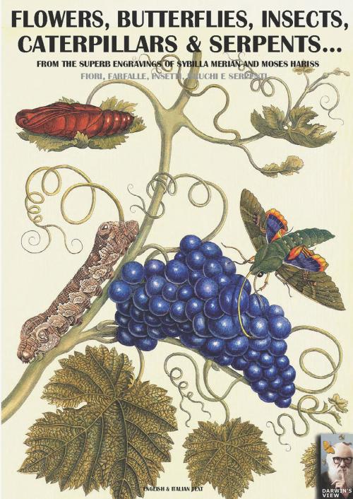 Cover of the book Flowers, butterflies, insects, caterpillars and serpents... by Luca Stefano Cristini, Soldiershop
