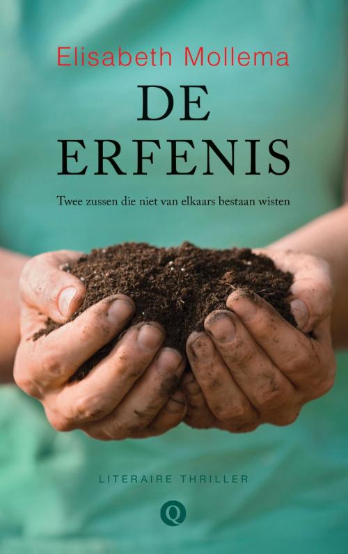 Cover of the book De erfenis by Elisabeth Mollema, Singel Uitgeverijen