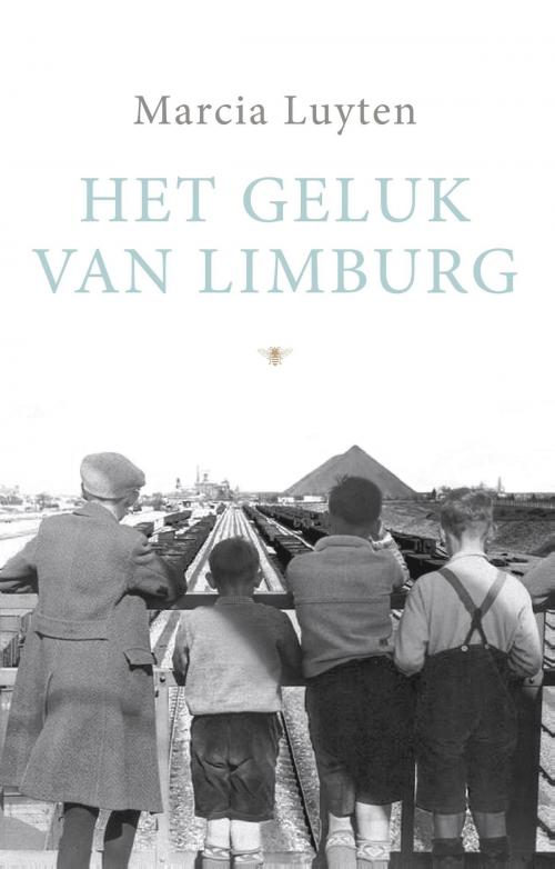 Cover of the book Het geluk van Limburg by Marcia Luyten, Bezige Bij b.v., Uitgeverij De
