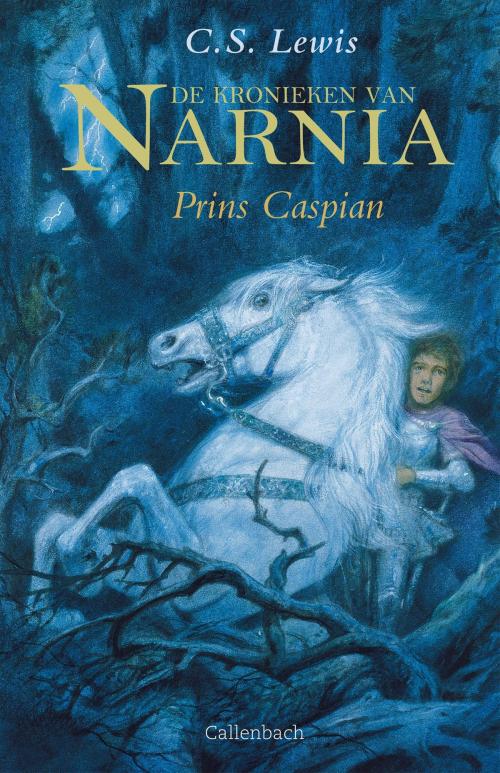Cover of the book Prins Caspian by C.S. Lewis, VBK Media
