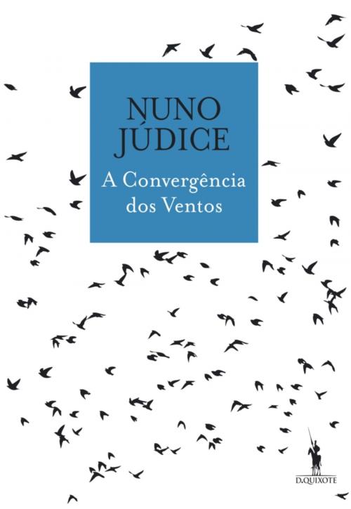 Cover of the book A Convergência dos Ventos by Nuno Júdice, D. QUIXOTE