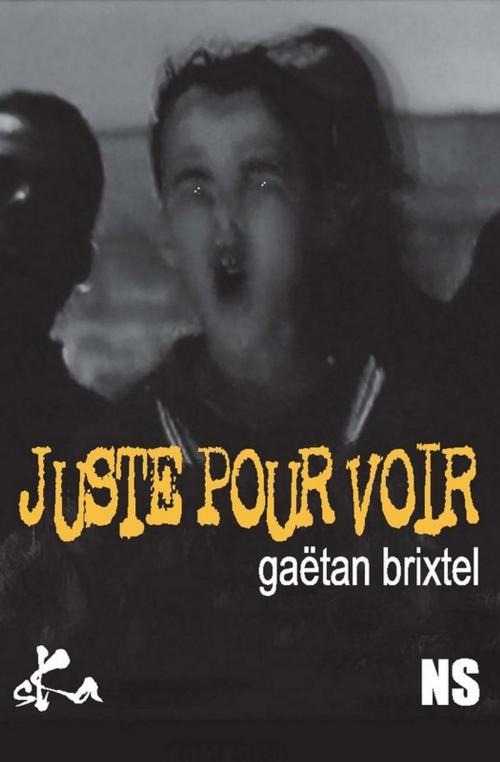 Cover of the book Juste pour voir by Gaëtan Brixtel, SKA
