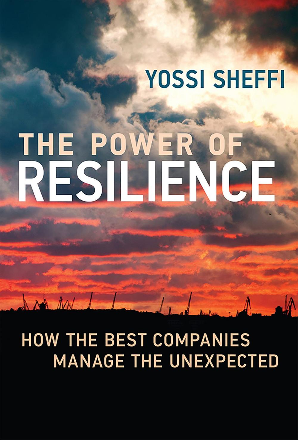 Big bigCover of The Power of Resilience