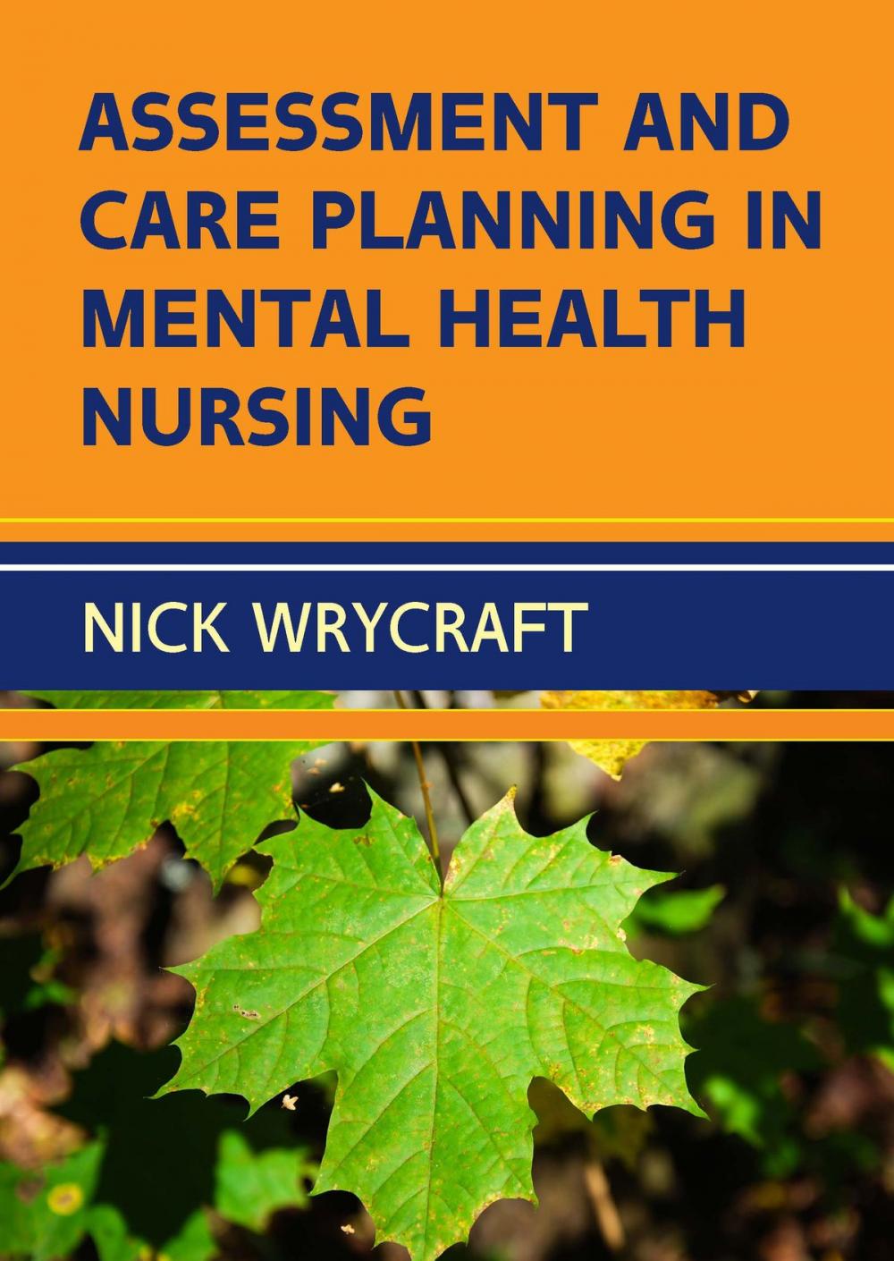 Big bigCover of Assessment And Care Planning In Mental Health Nursing