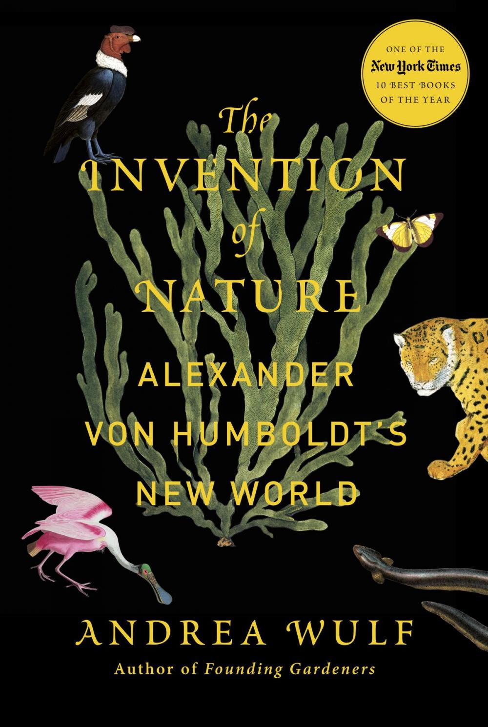 Big bigCover of The Invention of Nature