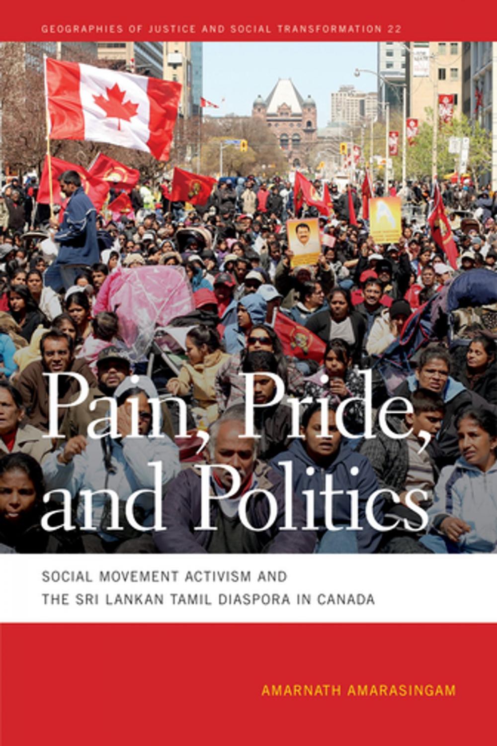 Big bigCover of Pain, Pride, and Politics