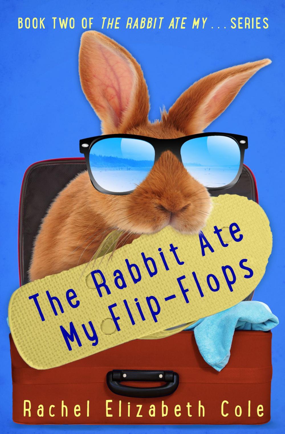 Big bigCover of The Rabbit Ate My Flip-Flops