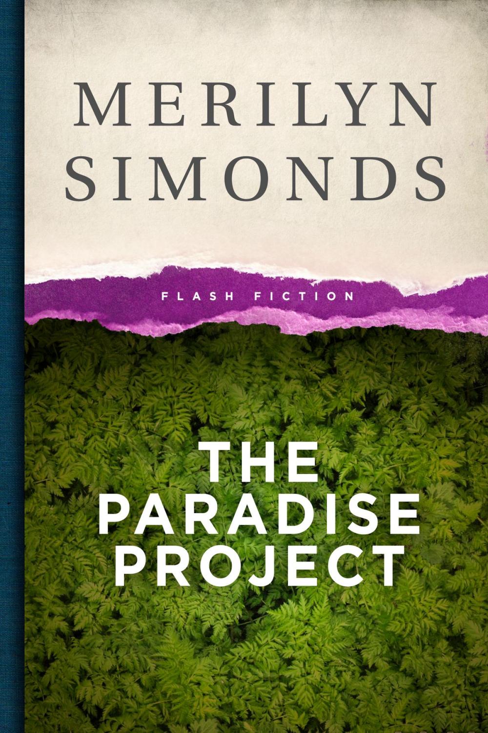 Big bigCover of The Paradise Project