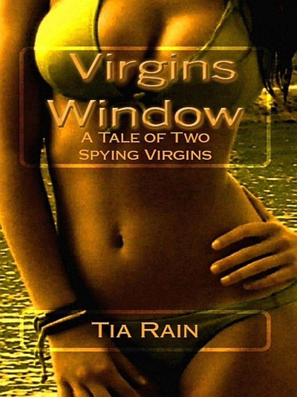 Big bigCover of The Virgins Window:
