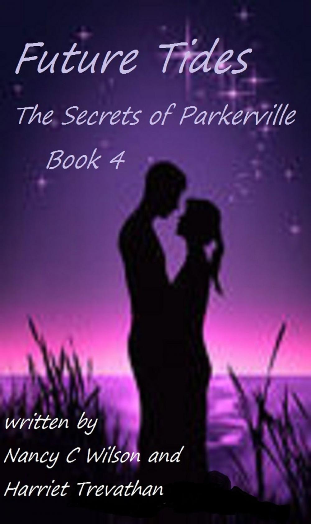 Big bigCover of The Secrets of Parkerville Series: Book 4 - Future Tides