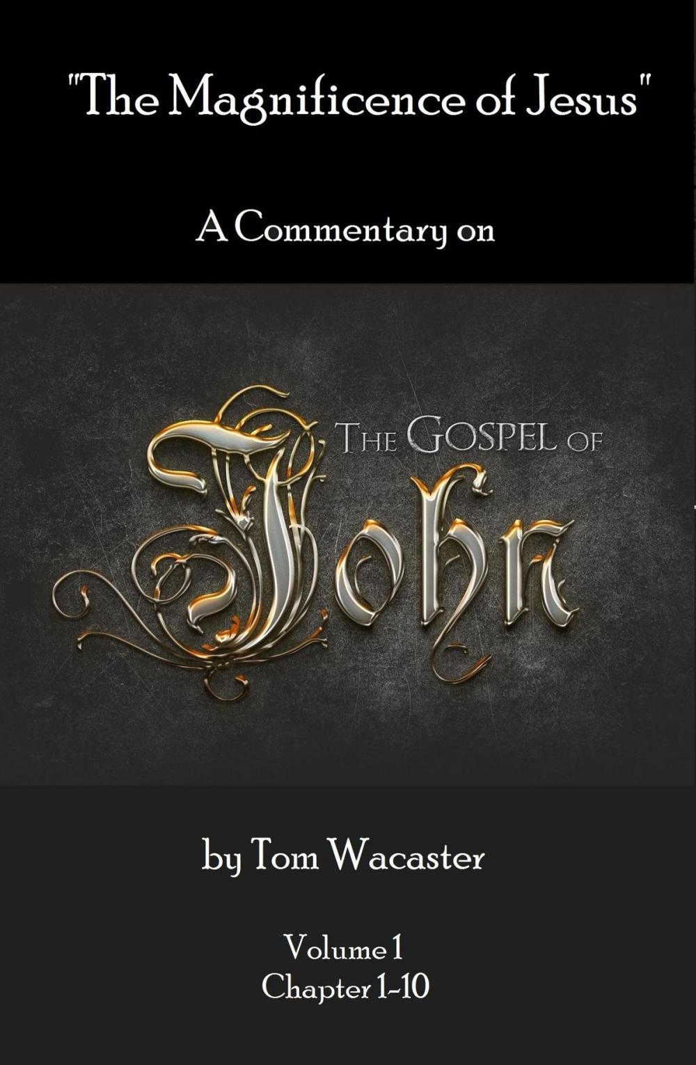 Big bigCover of The Magnificence of Jesus: A Commentary On The Gospel of John - Volume 1
