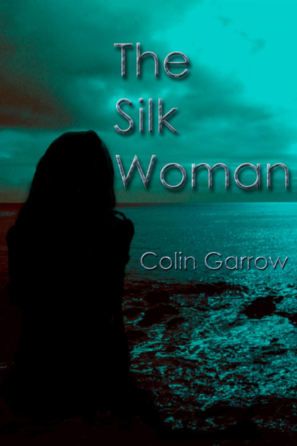 Big bigCover of The Silk Woman