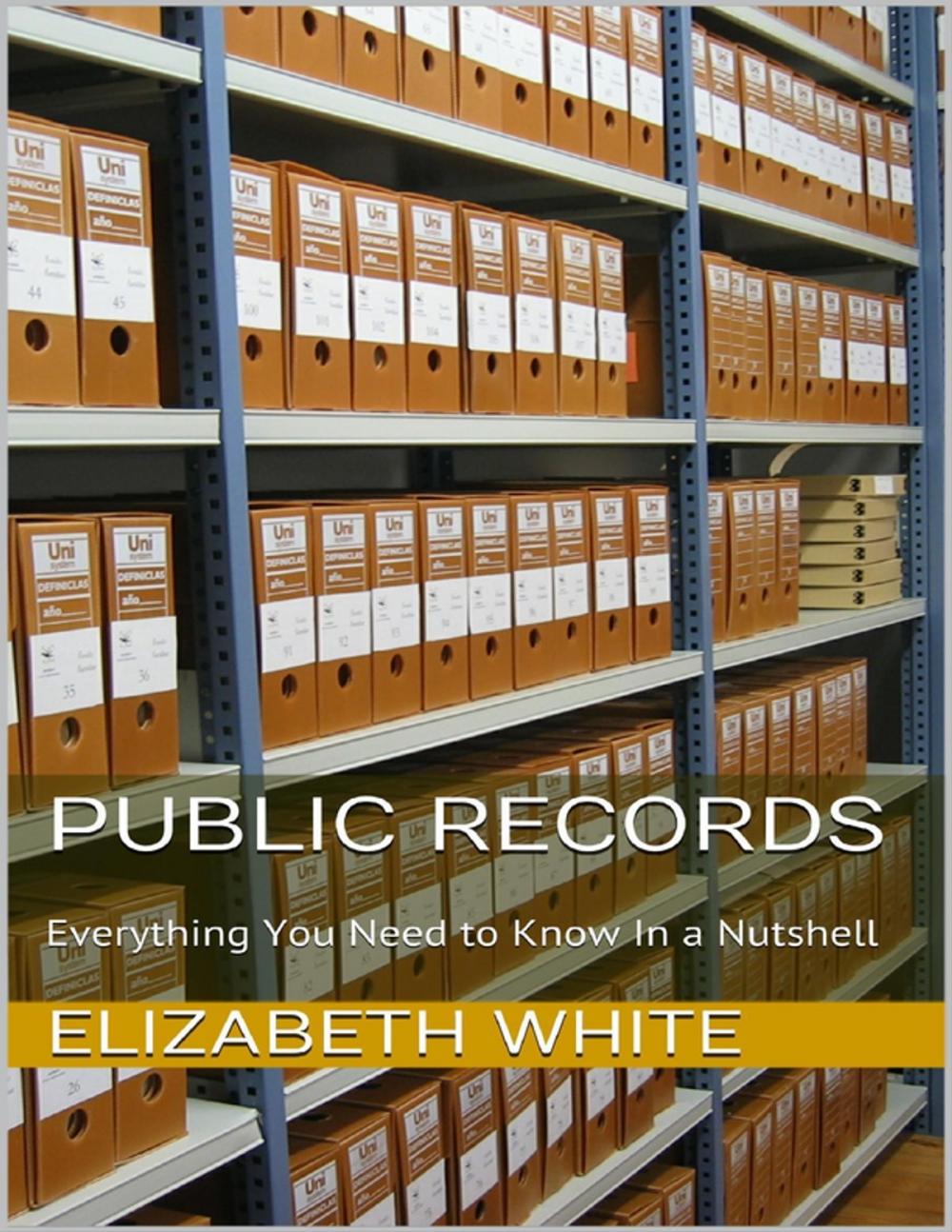 Big bigCover of Public Records: Everything You Need to Know In a Nutshell