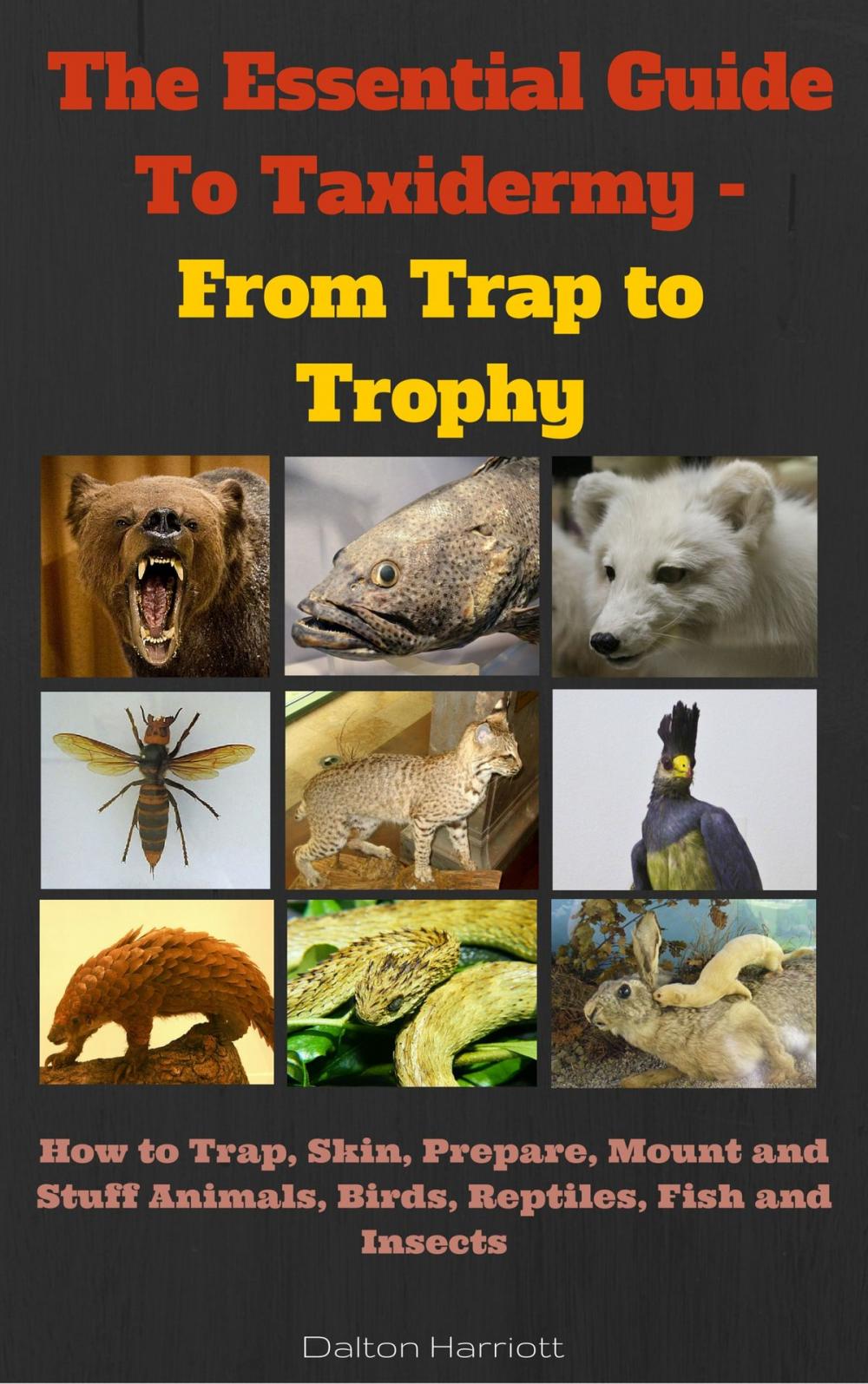 Big bigCover of The Essential Guide to Taxidermy - From Trap to Trophy