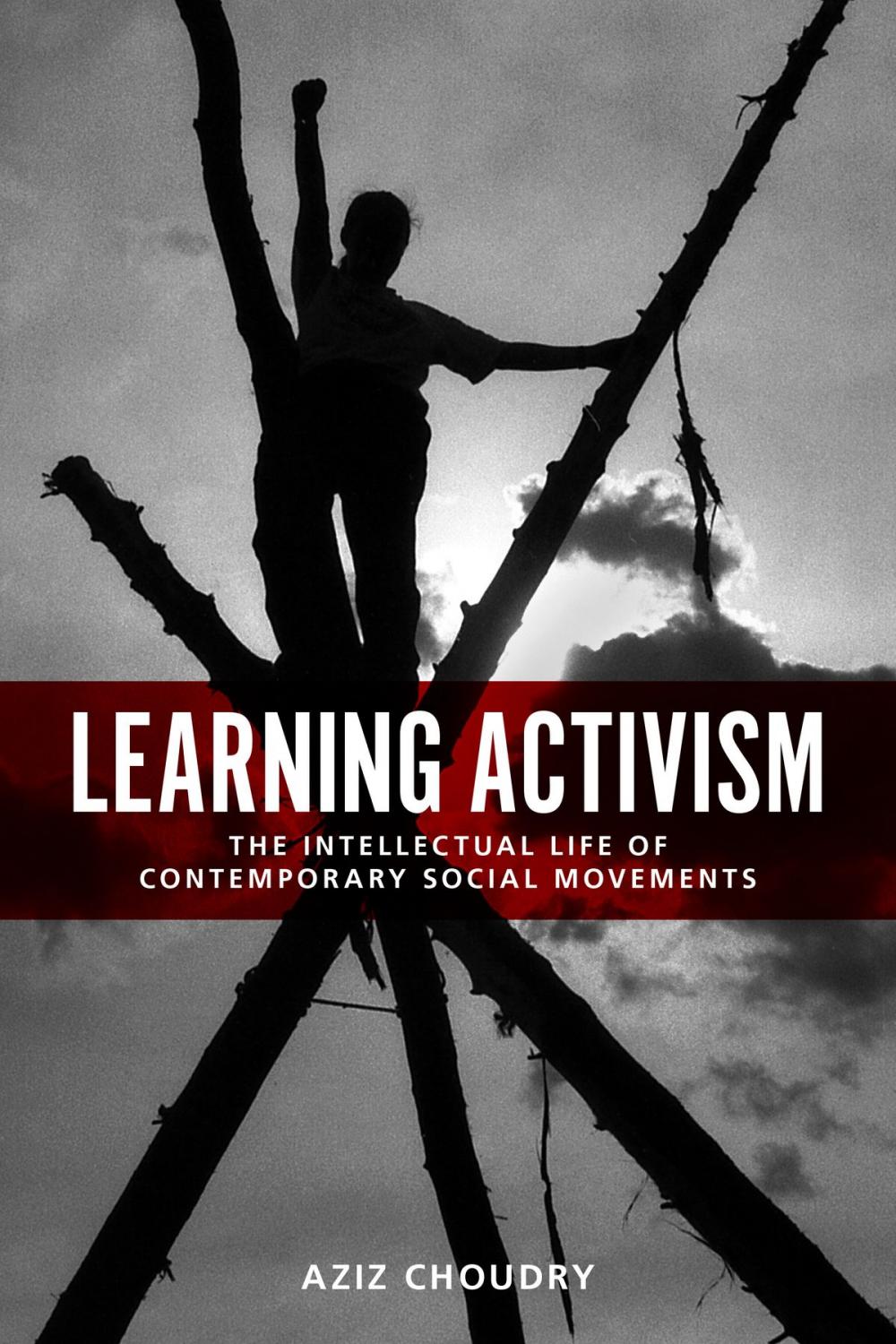 Big bigCover of Learning Activism