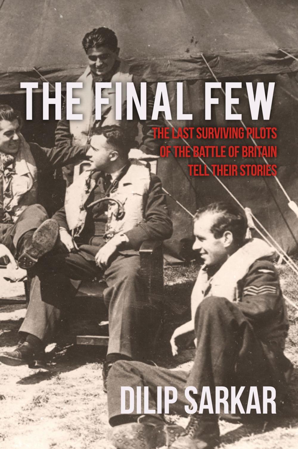 Big bigCover of The Final Few