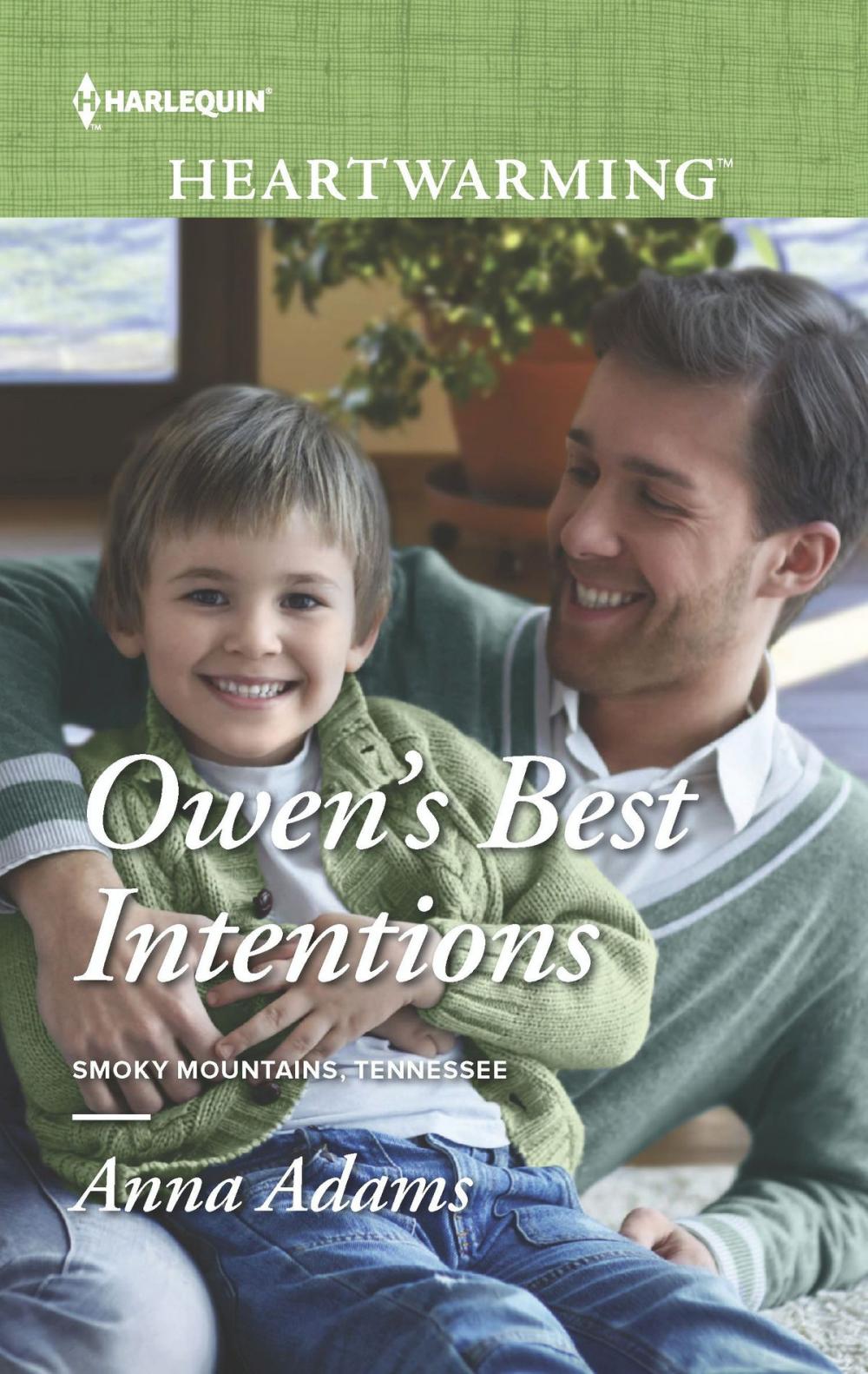 Big bigCover of Owen's Best Intentions
