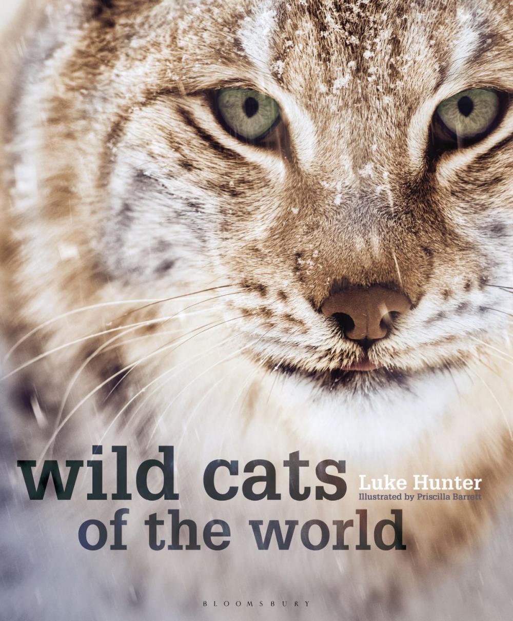 Big bigCover of Wild Cats of the World