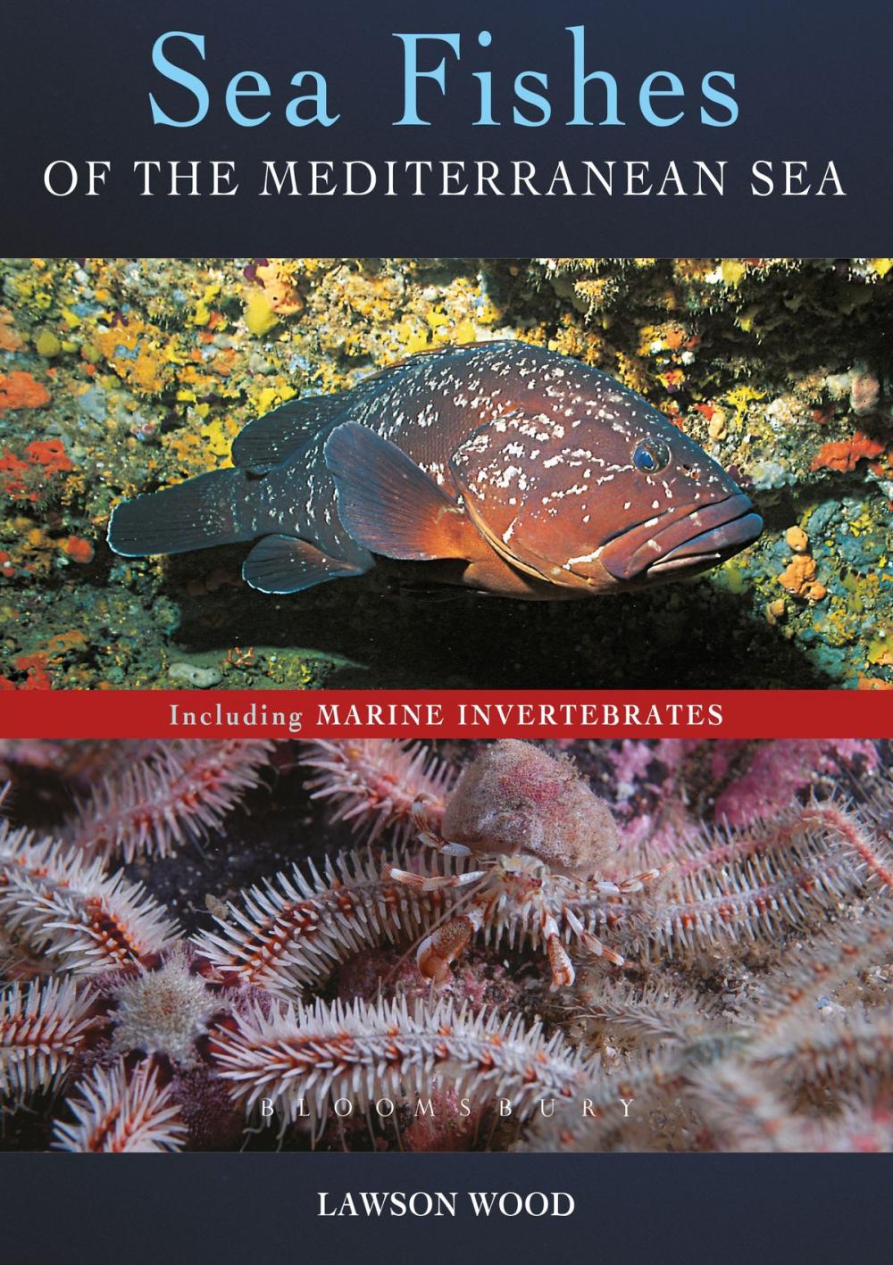 Big bigCover of Sea Fishes Of The Mediterranean Including Marine Invertebrates
