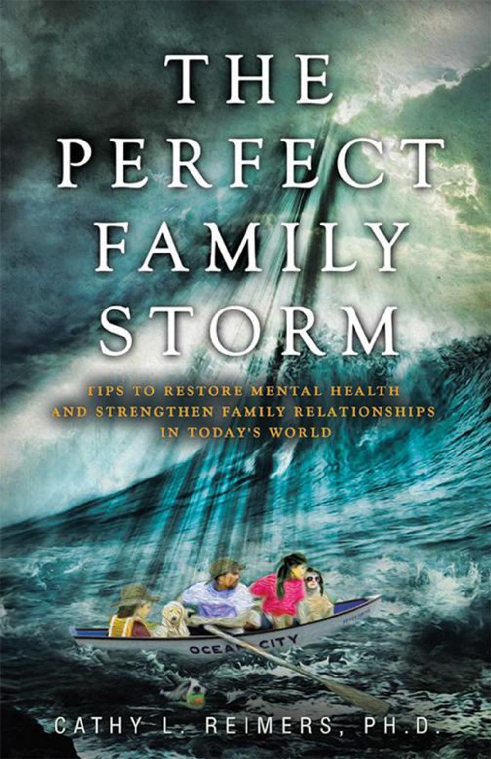 Big bigCover of The Perfect Family Storm
