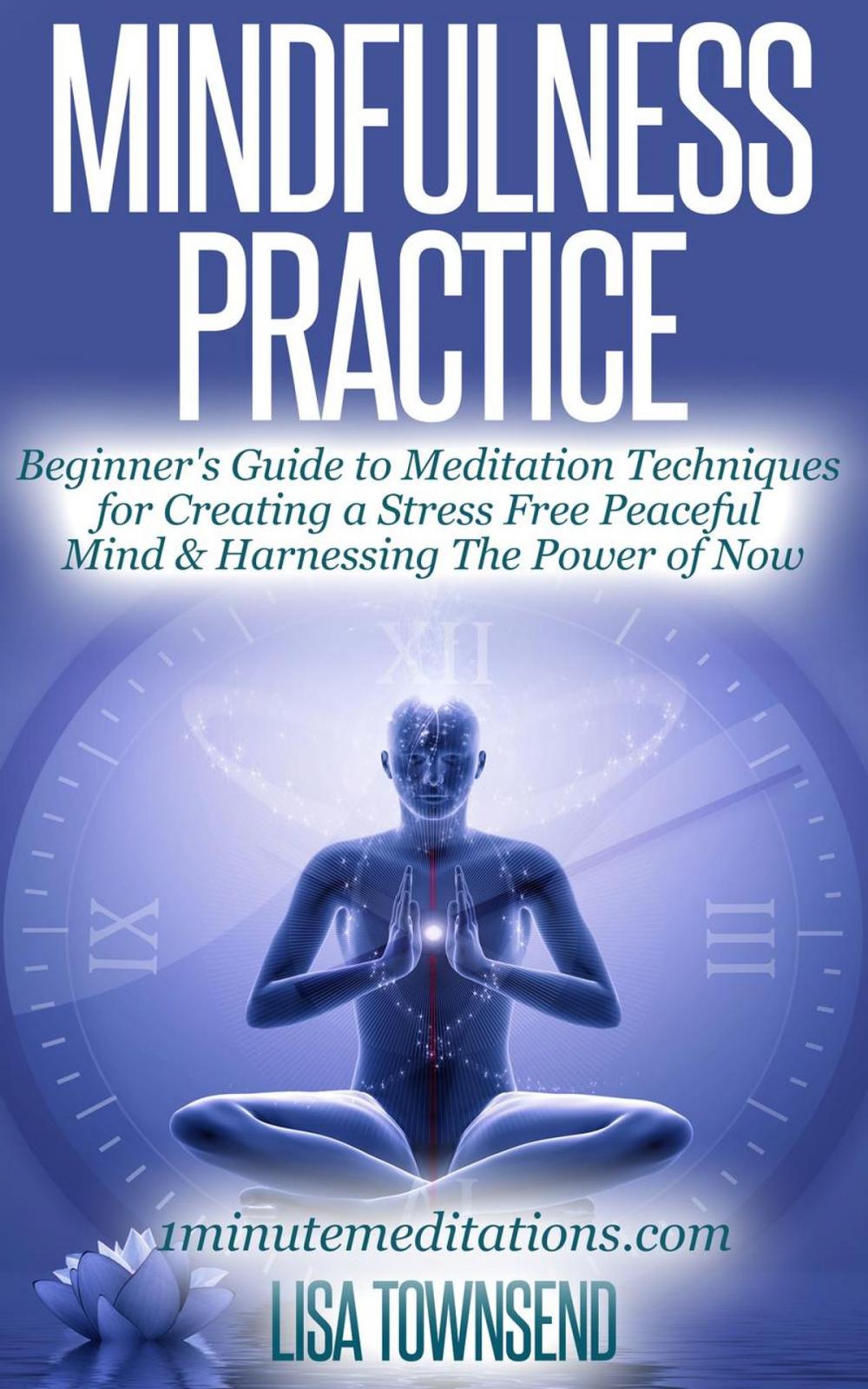 Big bigCover of Mindfulness Practice: Beginner's Guide to Meditation Techniques for Creating a Stress Free Peaceful Mind & Harnessing The Power of Now