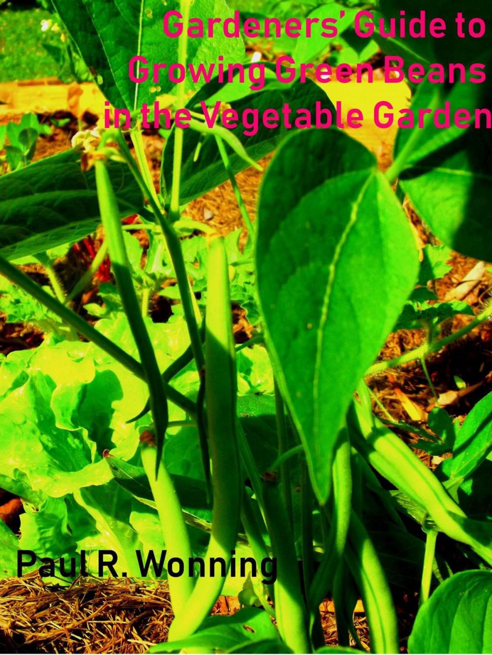 Big bigCover of Gardeners’ Guide to Growing Green Beans in the Vegetable Garden