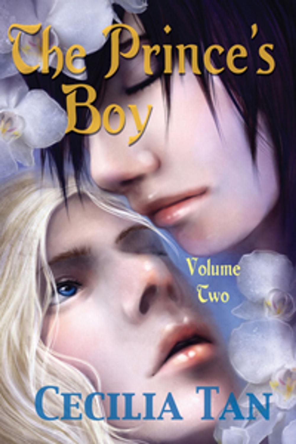 Big bigCover of The Prince's Boy, Volume Two