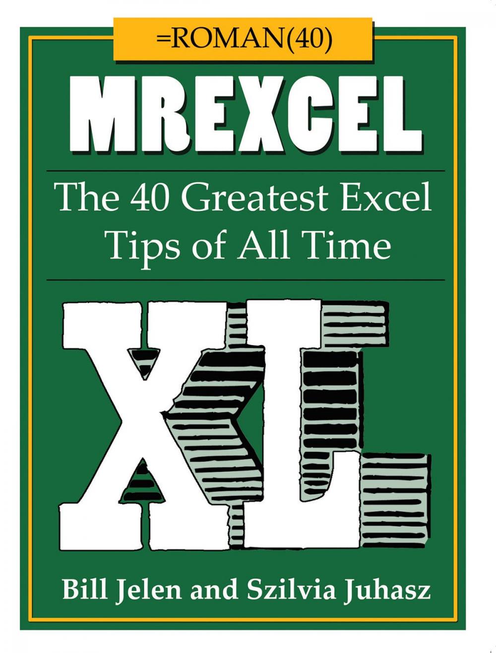 Big bigCover of MrExcel XL