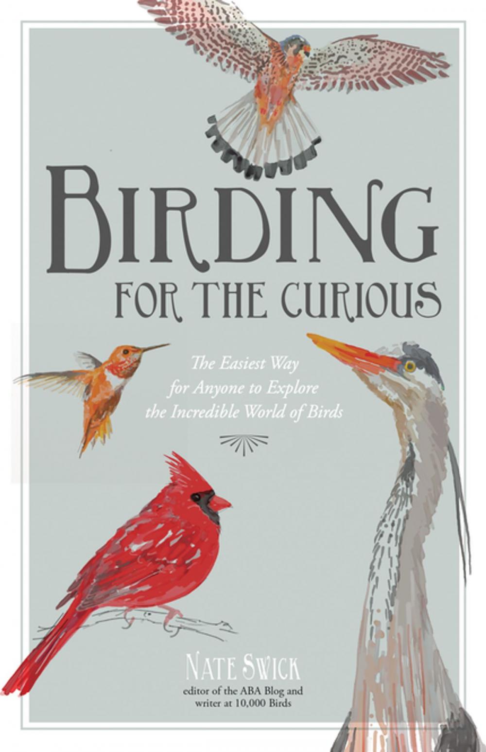 Big bigCover of Birding for the Curious