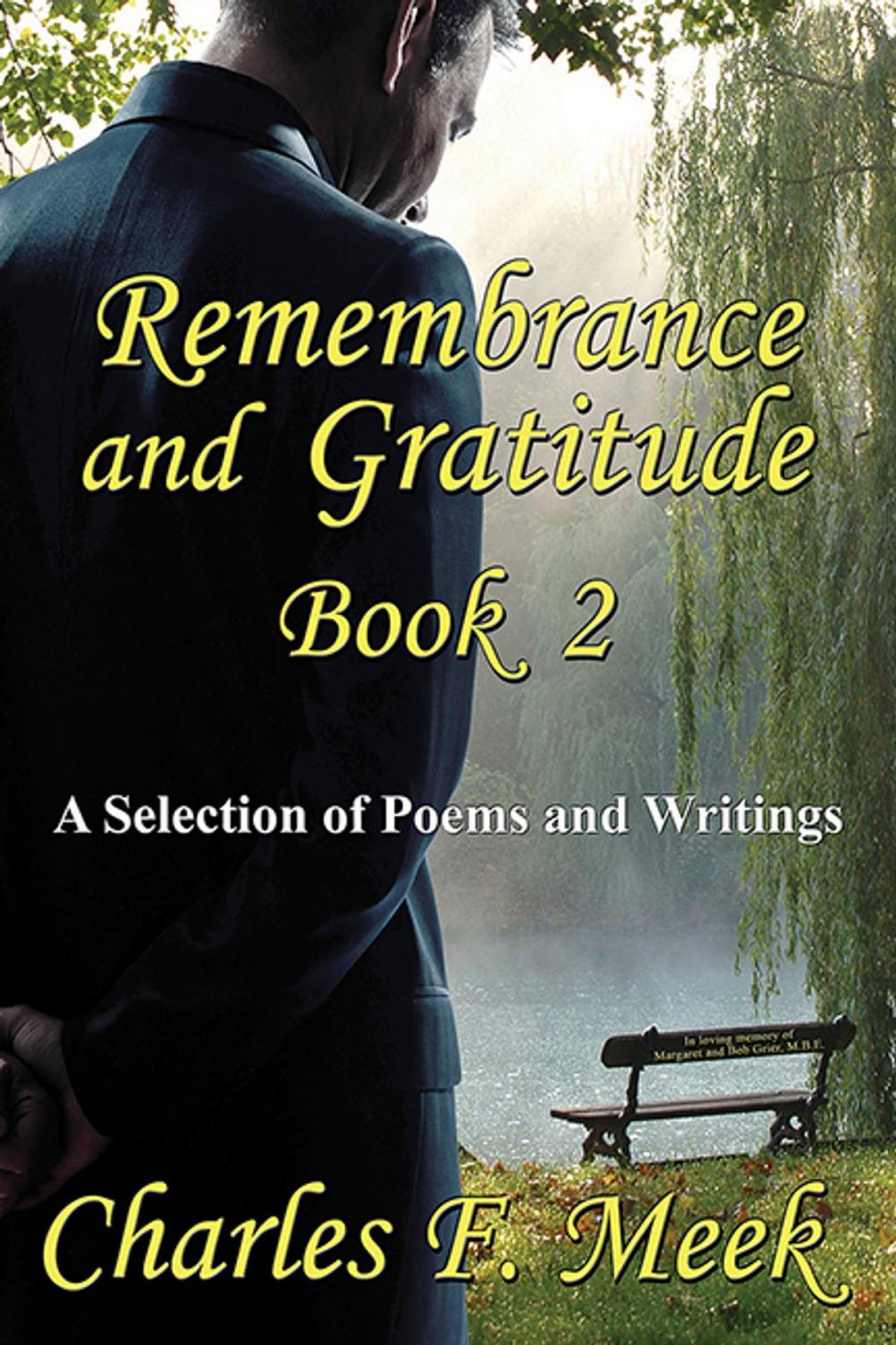 Big bigCover of Remembrance and Gratitude Book 2