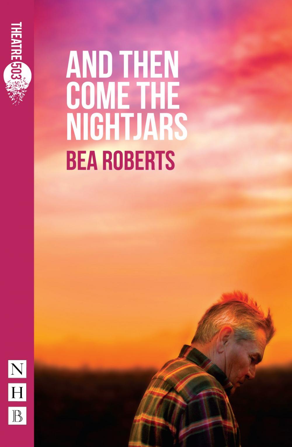 Big bigCover of And Then Come The Nightjars (NHB Modern Plays)