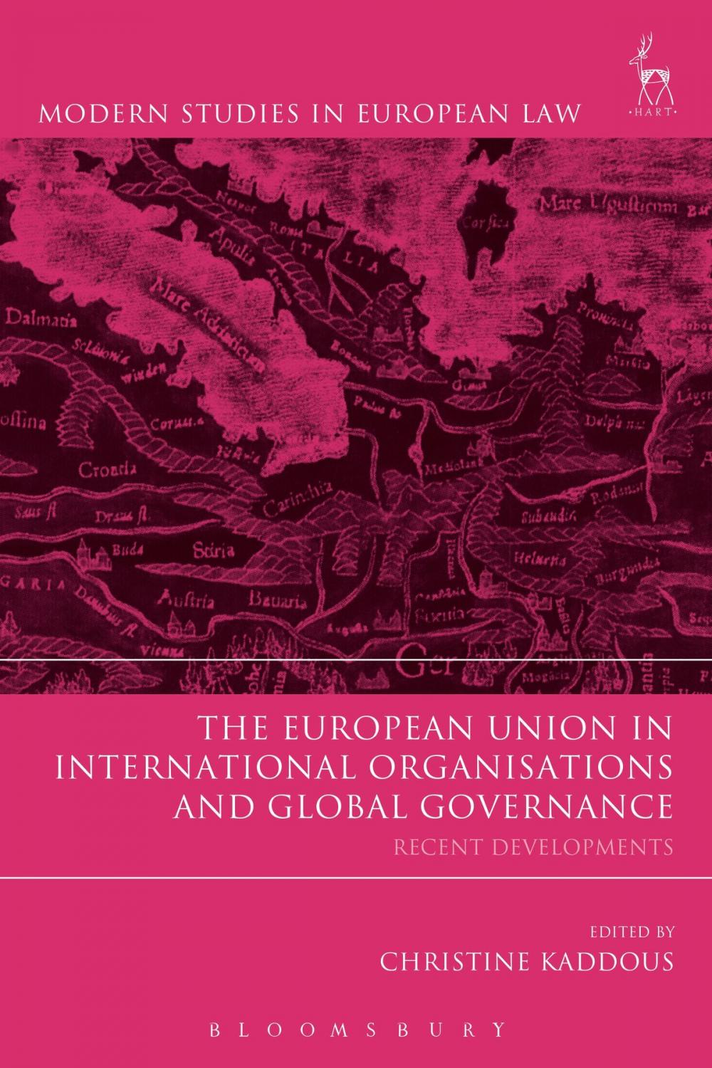 Big bigCover of The European Union in International Organisations and Global Governance