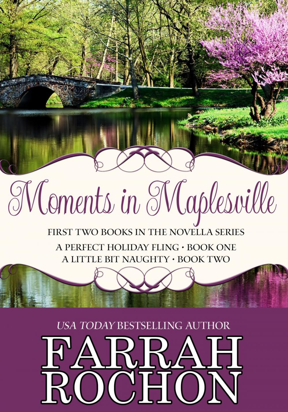 Big bigCover of Moments In Maplesville Bundle Edition