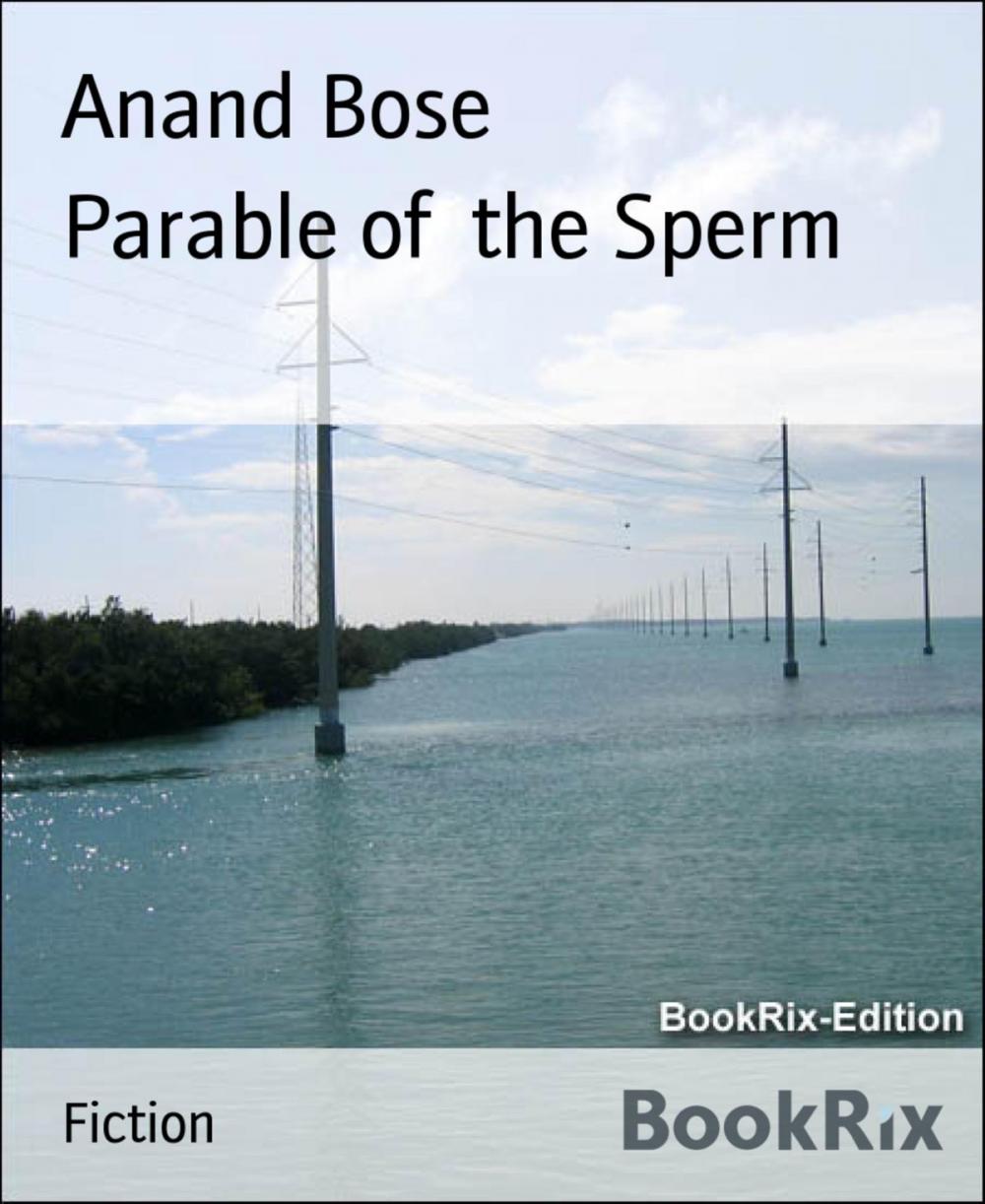 Big bigCover of Parable of the Sperm