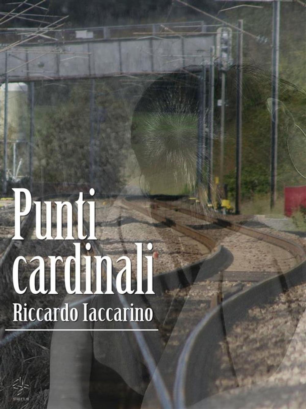 Big bigCover of Punti Cardinali