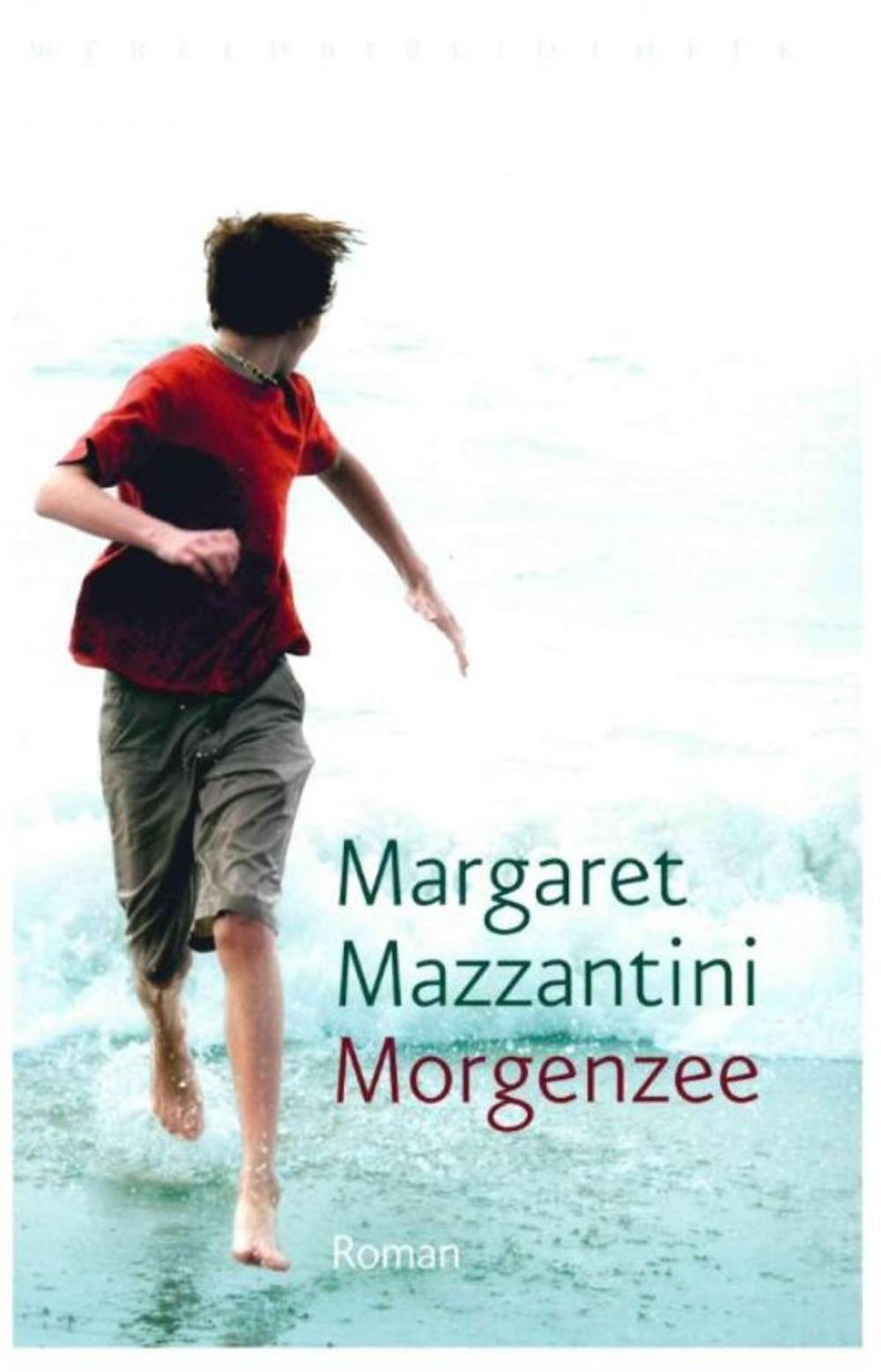Big bigCover of Morgenzee