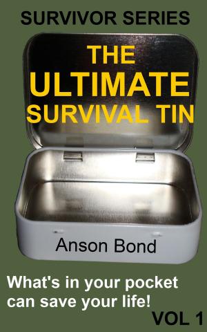 Book cover of The Ultimate Survival Tin