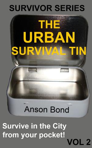 Book cover of The Urban Survival Tin
